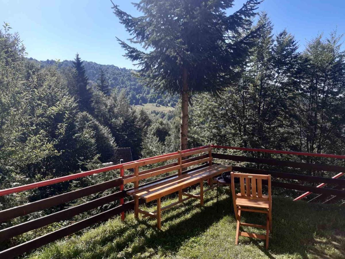 Holiday House Nesovic Kopaonik Exterior foto