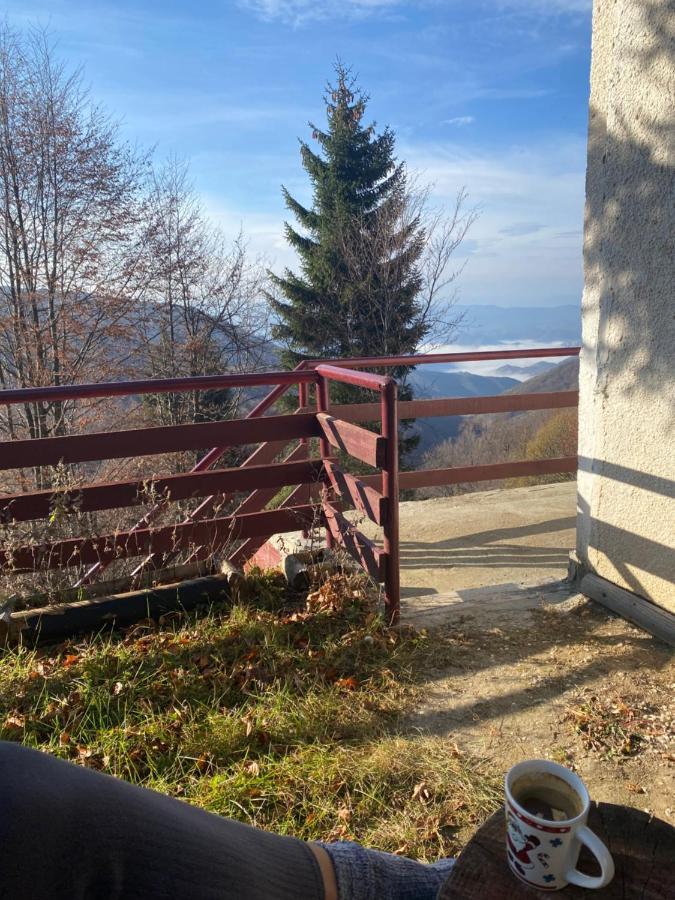 Holiday House Nesovic Kopaonik Exterior foto