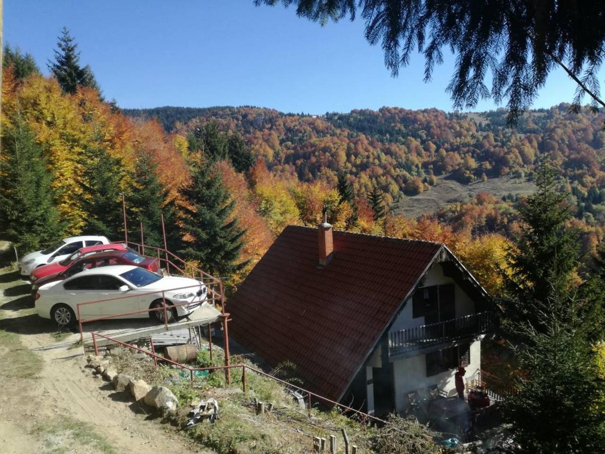 Holiday House Nesovic Kopaonik Exterior foto