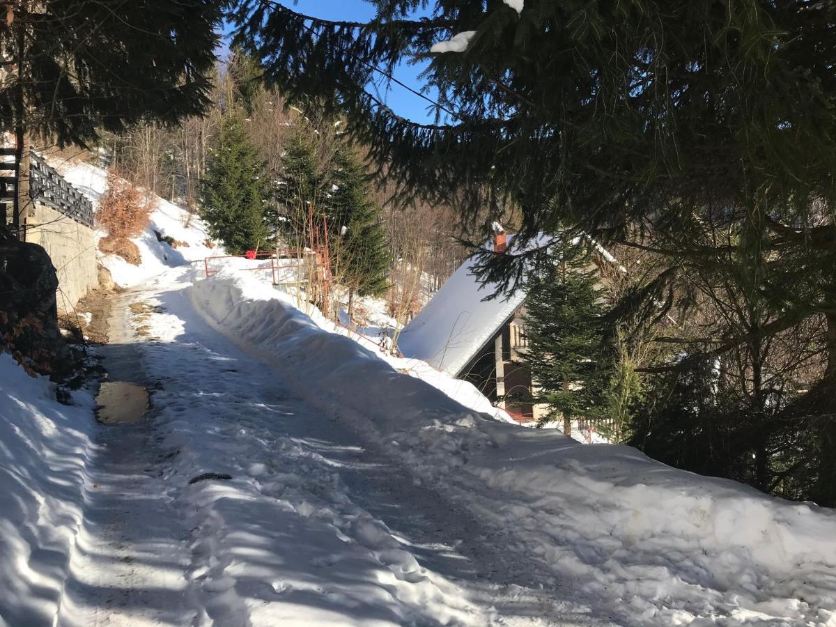 Holiday House Nesovic Kopaonik Exterior foto