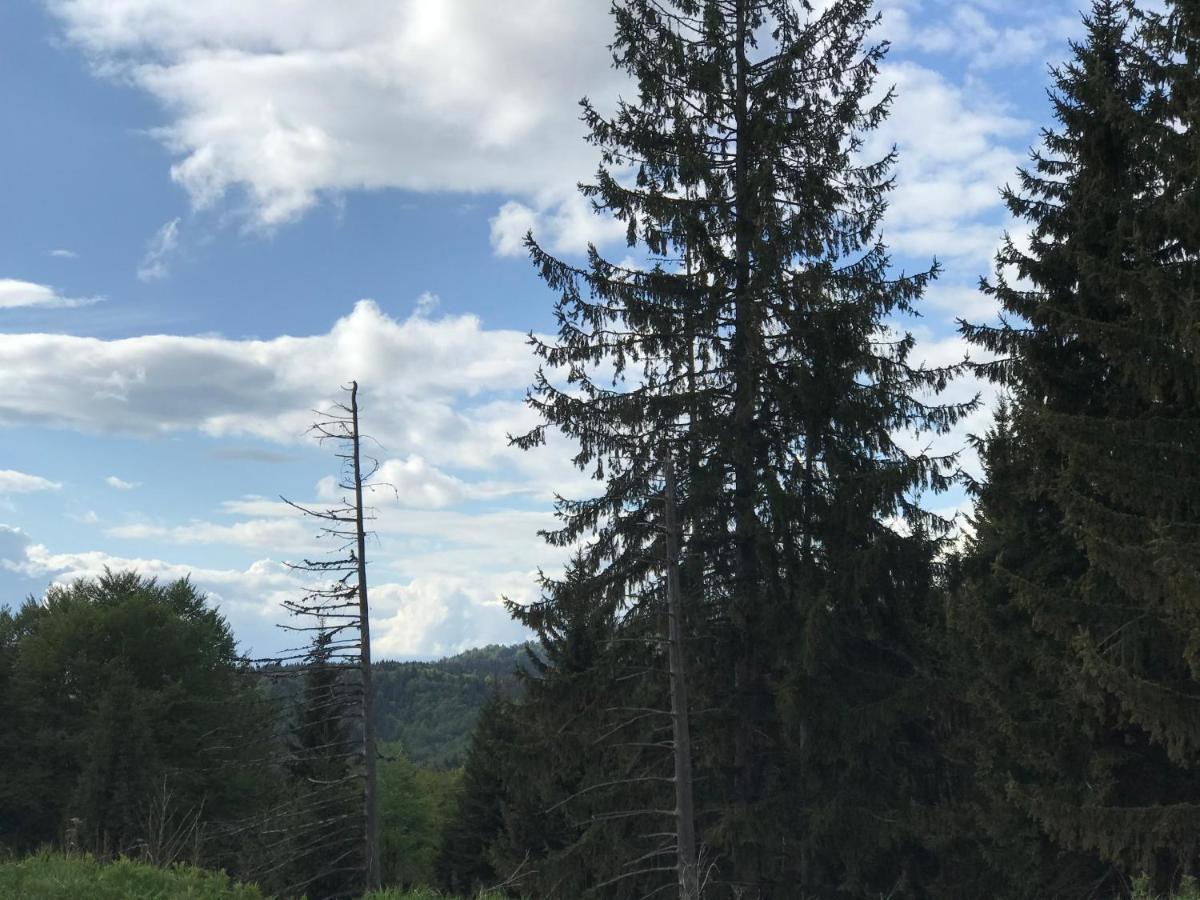 Holiday House Nesovic Kopaonik Exterior foto