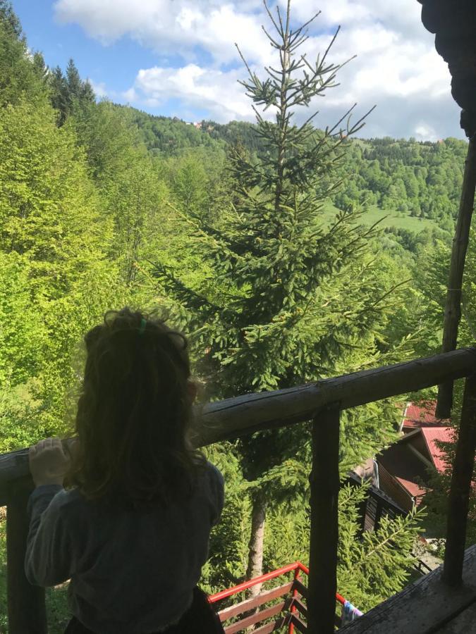 Holiday House Nesovic Kopaonik Exterior foto
